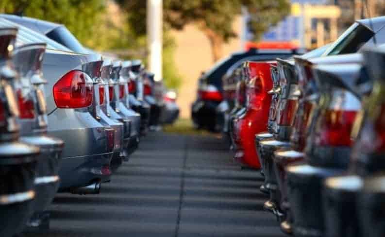 a-stray-dog-kept-showing-up-at-a-car-dealership-so-they-gave-him-a-job