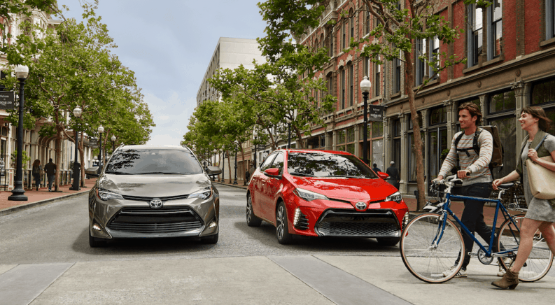 Get Ready for Options in the 2019 Toyota Corolla