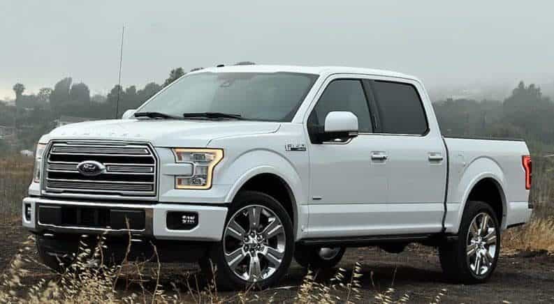 A white used Ford F-150 in a grassy field
