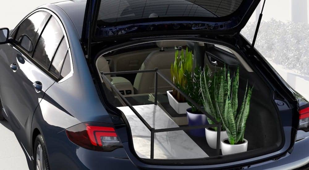 A dark blue 2019 Buick Regal Sportback with plants and a table in the cargo area