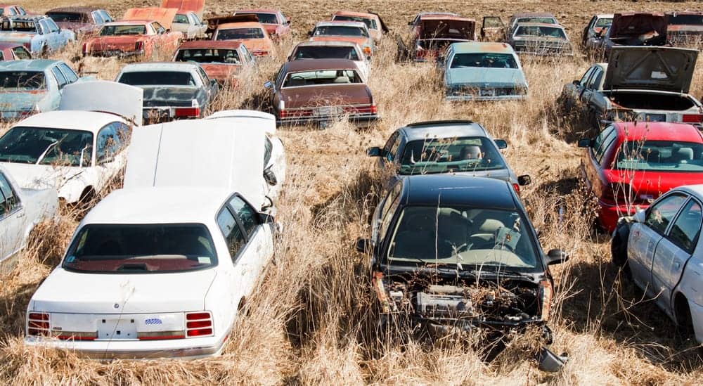 Many old cars in a tall grassy field of a used car salvage yard symbolizing the difficulty in buying used cars