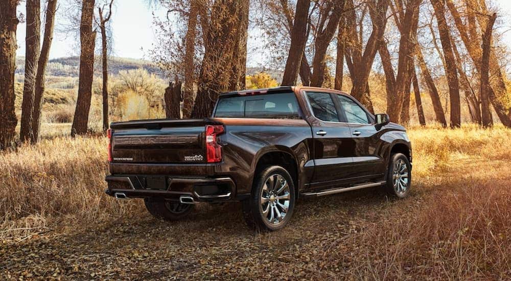 A 2019 Chevy Silverado 1500 is parked in the sunshine in a wooded area.