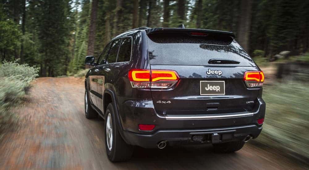 A dark colored 2016 Jeep Grand Cherokee, popular among used Jeeps for sale, is driving on a road through the woods.