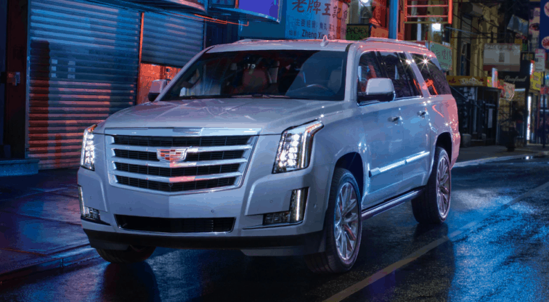 A white 2019 Cadillac Escalade is shown at night.