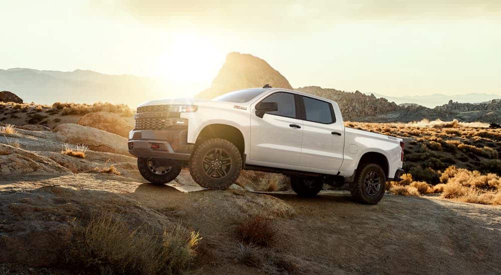 The custom trim of a 2019 Chevy Silverado Trail Boss is shown in white in the desert with a low sun.