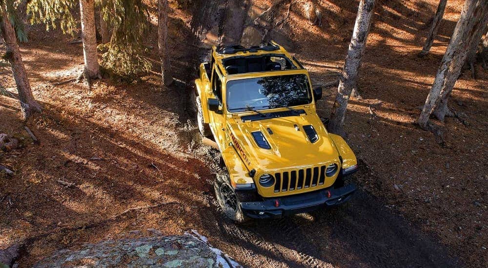 A yellow 2019 Jeep Wrangler is on a muddy woods trail near Dallas, TX.