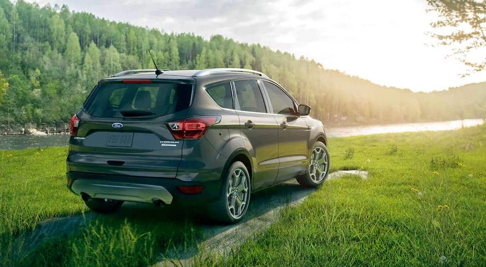 A grey 2019 Ford Escape is parked in the grass in front of a lake.