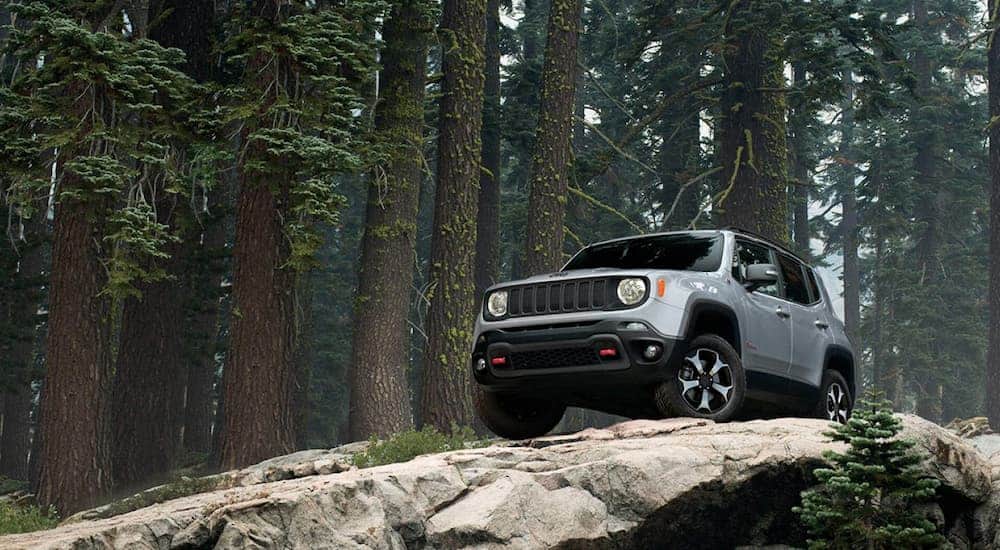 A grey 2019 Jeep Renegade is on a rock in the woods.