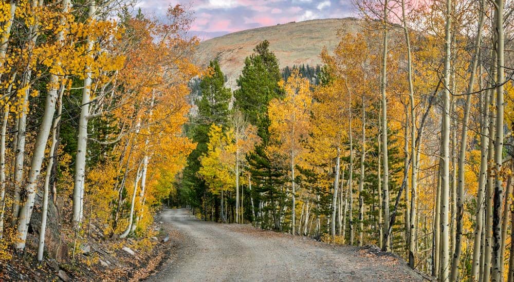 A dirt road is leading towards a Colorado mountain.