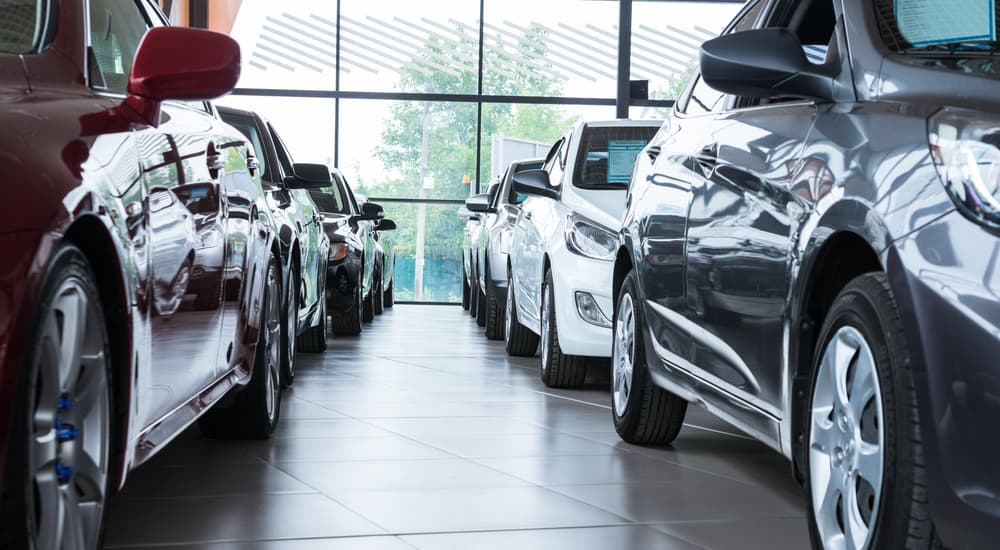 Two lines of cars are shown in a dealership where you can buy used cars.