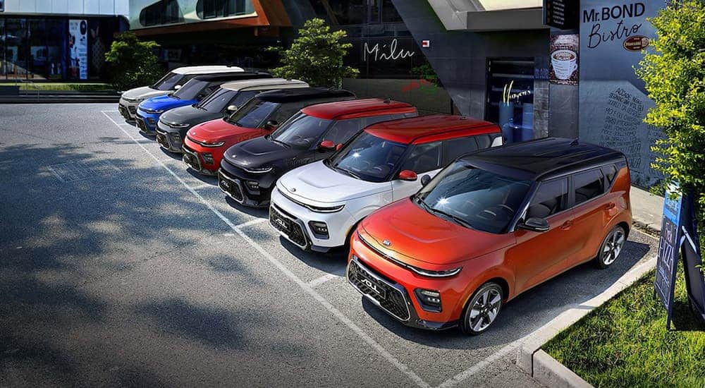 Several multi-colored 2020 Kia Souls are parked outside of a building near one of the Kia dealership locations.