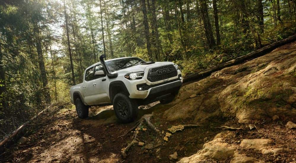A white lifted Toyota Tacoma is driving up a dirt hill in the woods. 