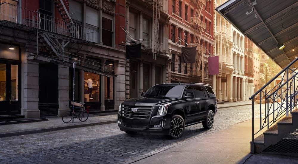 A black 2020 Cadillac Escalade Sport Edition is parked on a side street. 