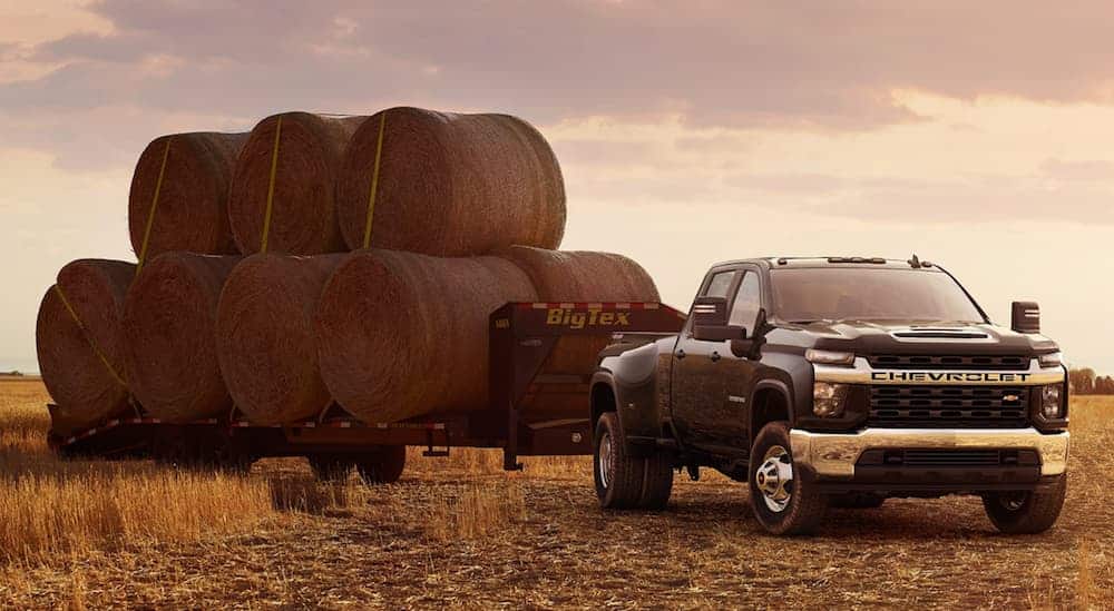 A black Chevy Silverado 3500HD is towing large hay bails with a 5th wheel set up on a farm. 