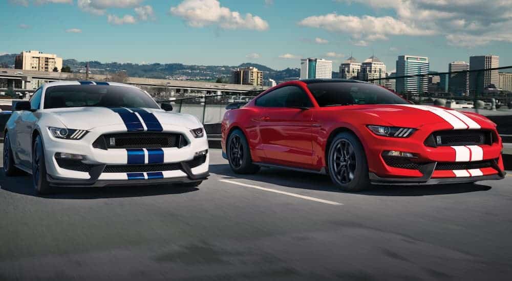 Two 2020 Ford Mustang Shelby GT350's, red and white, are driving next to each other on a highway with a city skyline behind them. 