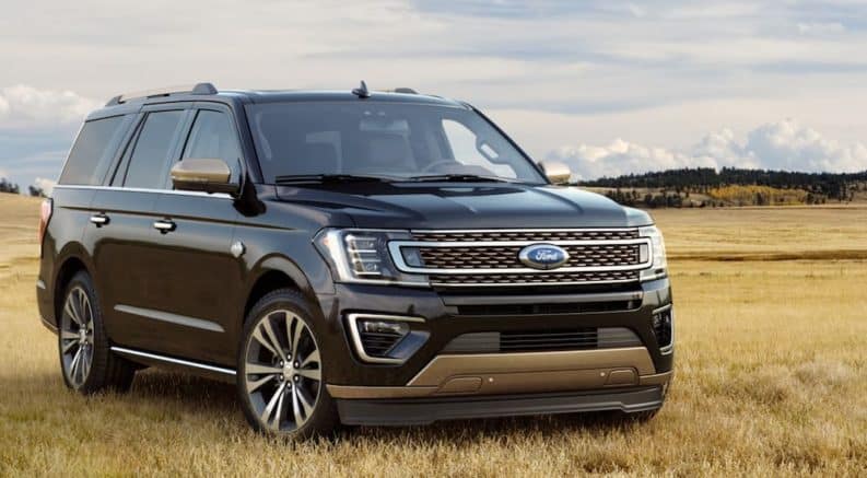 A black 2020 Ford Expedition is parked in a grassy field.