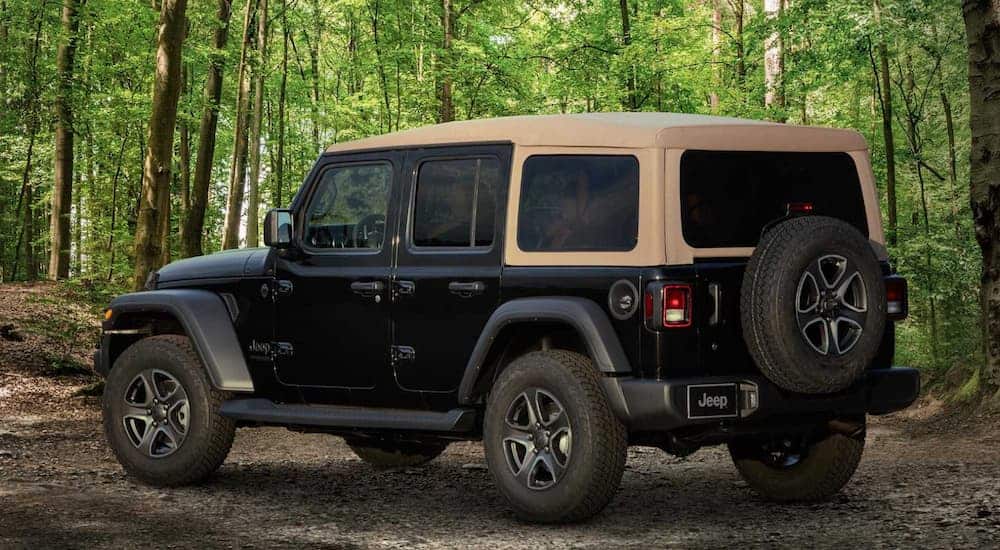 A Black & Tan Edition of the 2020 Wrangler is parked on a dirt tail in the woods.
