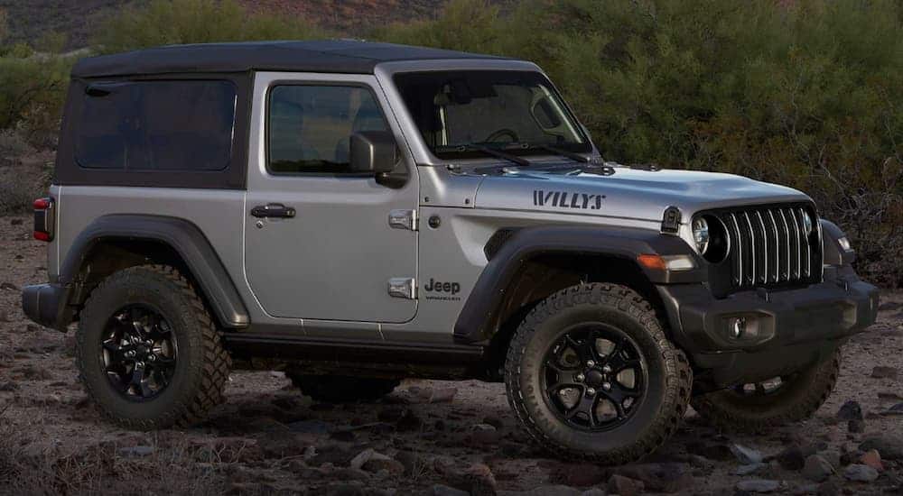 A silver 2020 Jeep Wrangler Willy's Edition is parked on a dirt trail that's overlooking trees.