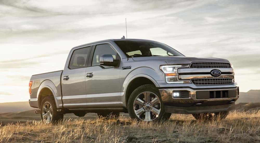A silver 2020 Ford F-150 is parked in a grassy field at dusk. 