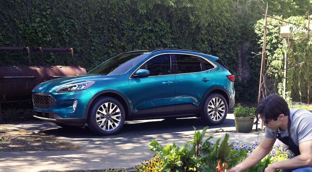 A blue 2020 Ford Escape, which is a popular option at your local Ford dealer, is parked in a driveway next to a garden. 