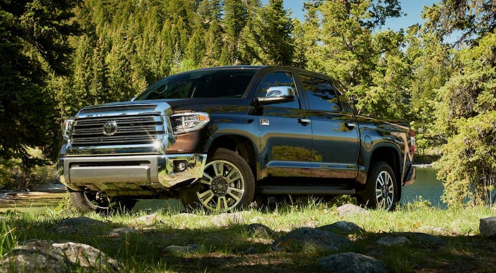 A brown 2020 Tundra is parked on a grassy trail surrounded by trees. 