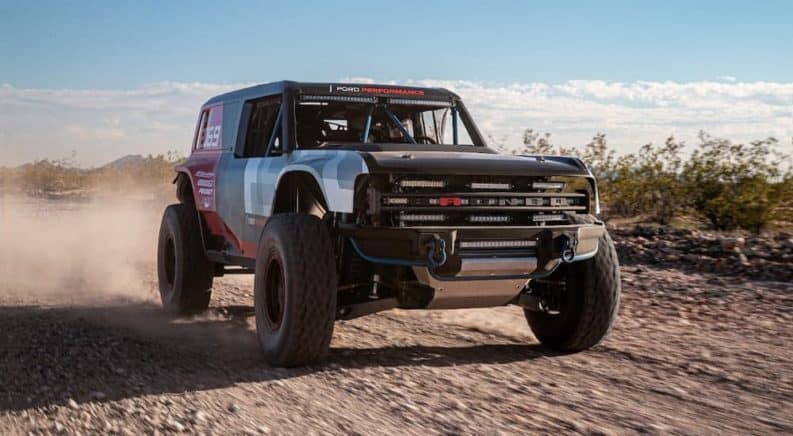 The Bronco is Back and Why You Should Be Excited