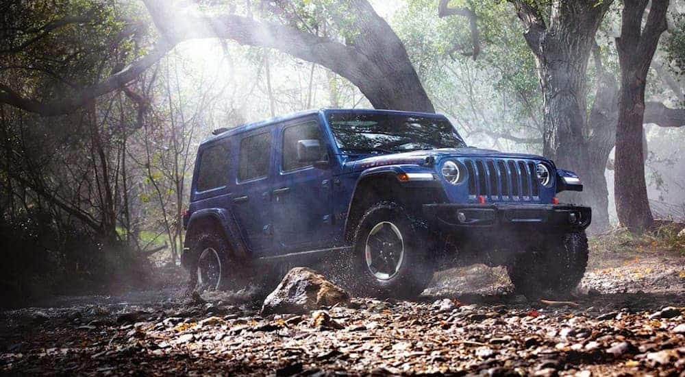 A blue 2020 Jeep Wrangler, which is one of the most popular among Jeep models, is driving through the woods.
