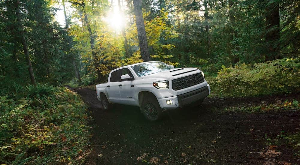 A white 2020 Toyota Tundra TRD Pro is off-roading in the woods.