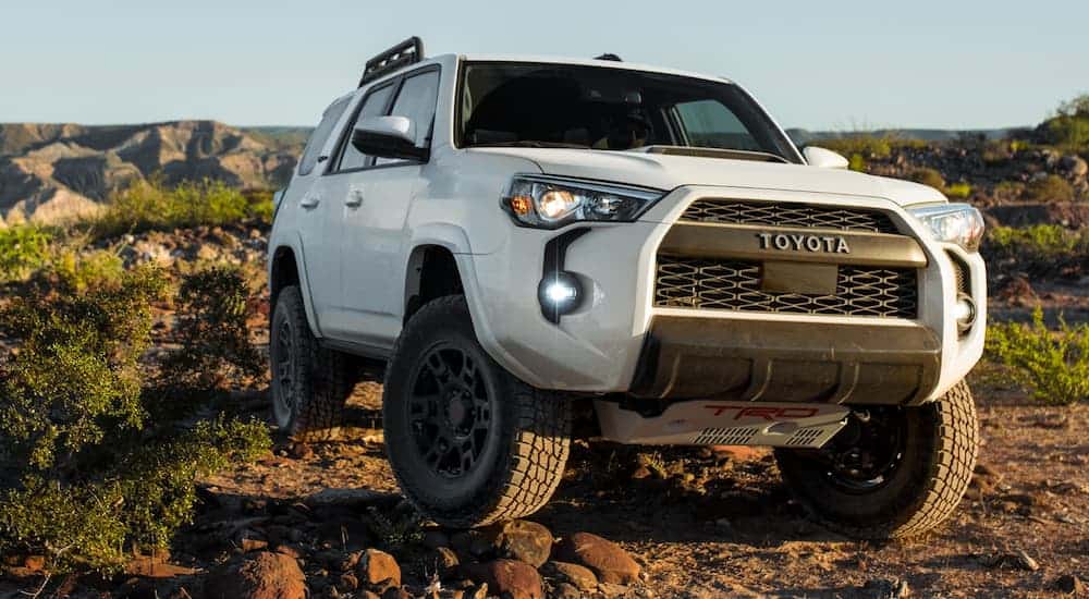 A white 2020 Toyota 4Runner, which is a popular option among Toyota SUVs, is driving over rocks on a dirt trail.