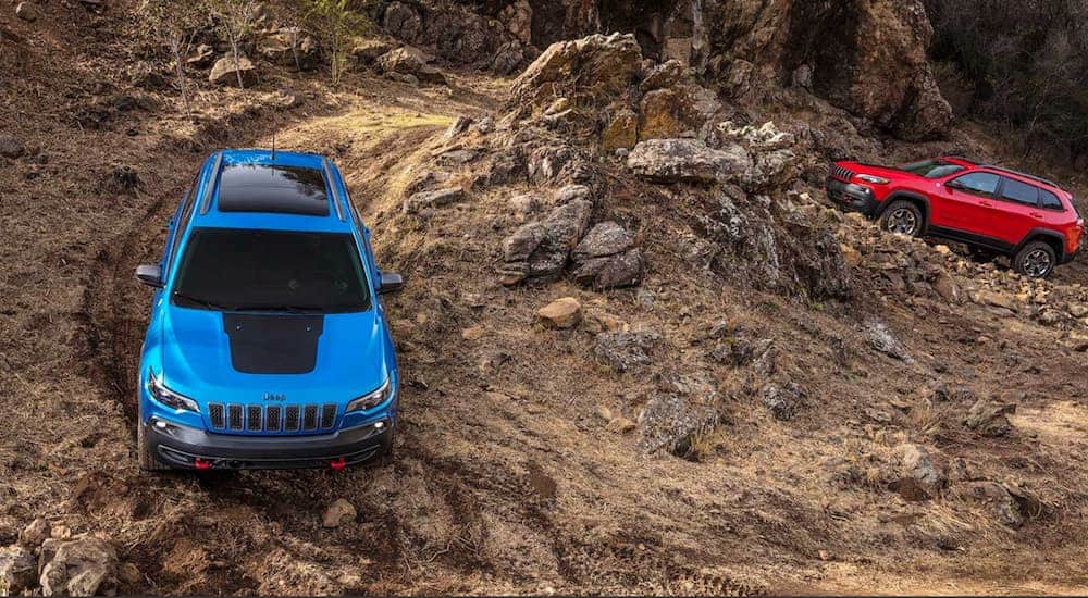 A red 2020 Jeep Cherokee Trailhawk is following a blue Trailhawk up a winding trail.