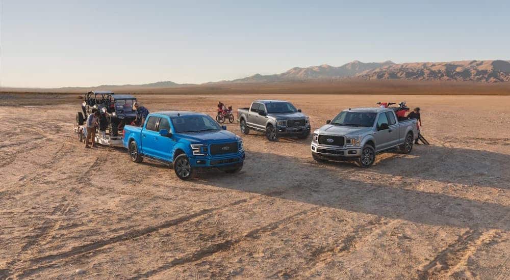 Some of the many Ford Trucks for Sale, three 2020 Ford F-150 XLT Lariats, are parked in a desert with off-roading equipment.