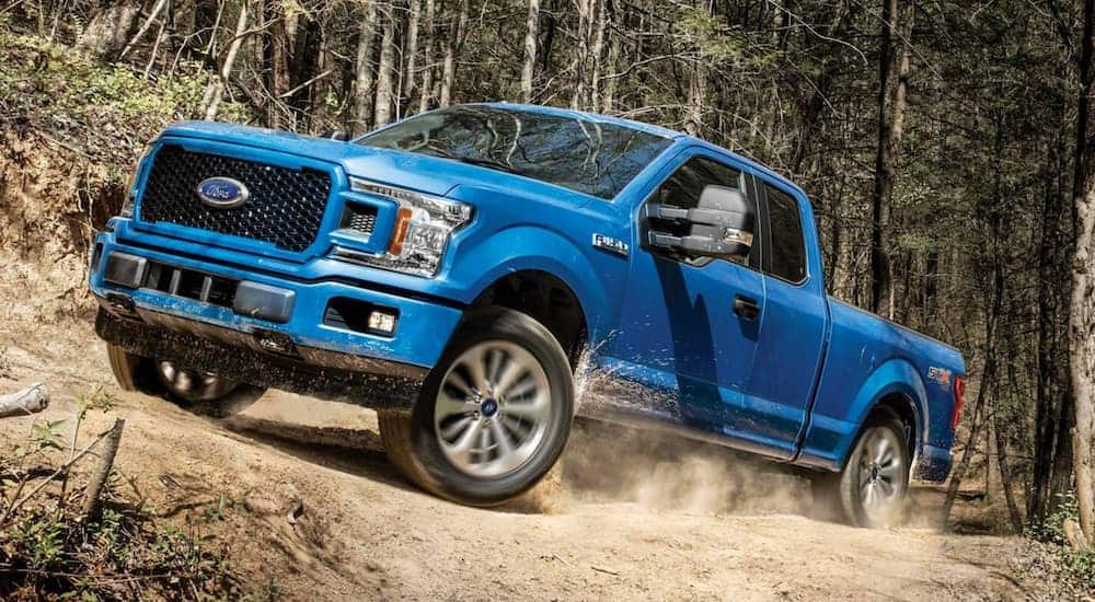 A blue 2019 Ford F-150 is off-roading in the woods after leaving a used car dealership near me.