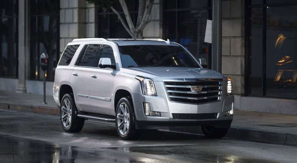 A silver 2017 pre-owned Cadillac Escalade is parked on a city street.