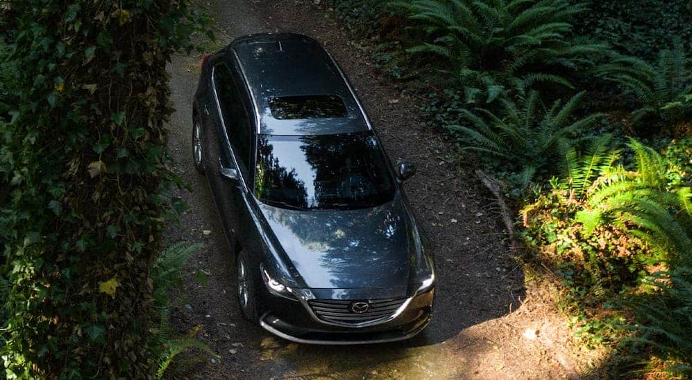 A gray 2020 Mazda CX-9 is shown from above driving on a dirt road lined with ferns.