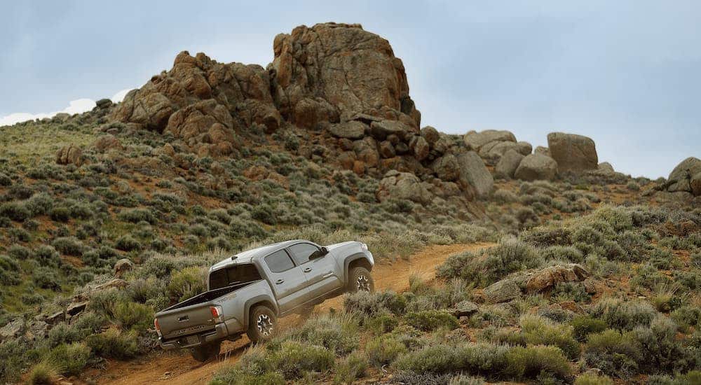 A gray 2020 Toyota Tacoma is climbing a hill on a dirt trail.