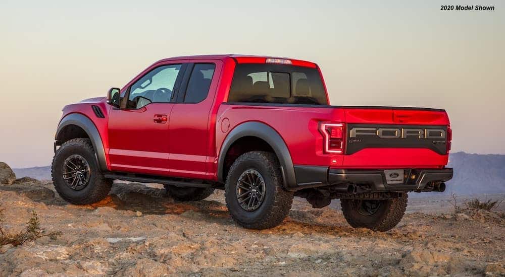 A Little Birdie Told Us: Ford Rumors