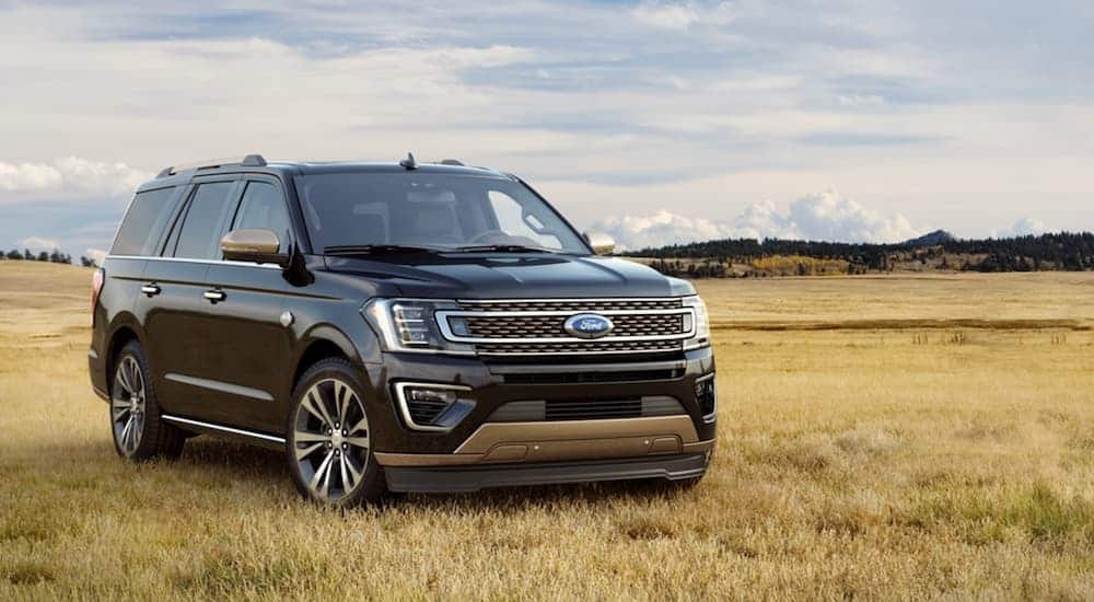 A grey 2020 Ford Expedition is parked in a field.