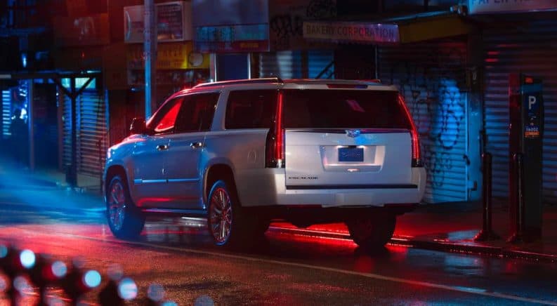 A silver 2020 Cadillac Escalade ESV is parked on a city street at night.