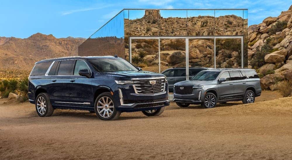 A black and a grey 2021 Cadillac Escalade are parked in front of a glass desert home.
