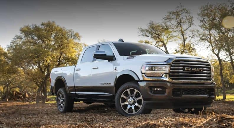 A white 2020 Ram 2500 is parked off-road in front of trees.