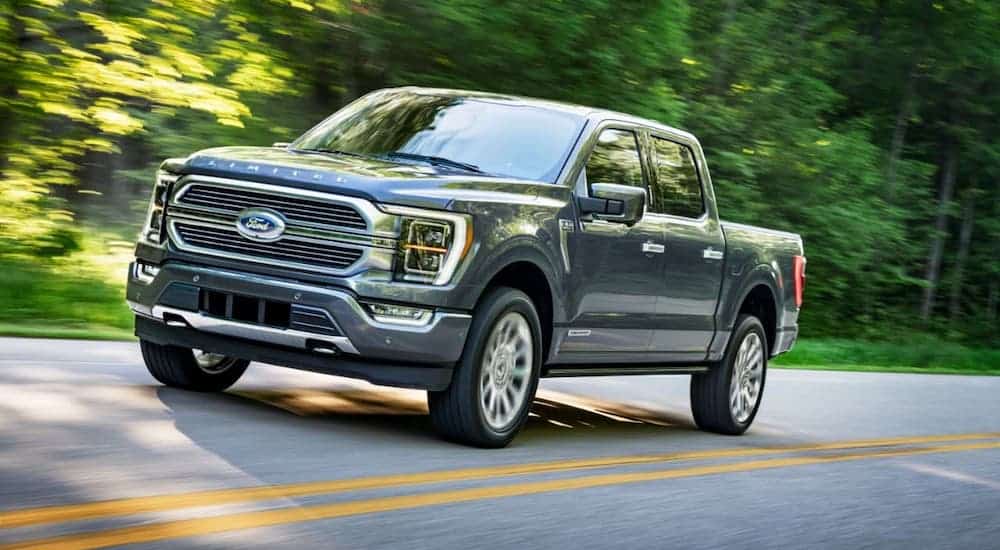 A gray 2021 Ford F-150 Limited is driving on a tree-lined road after the 2021 Ford F-150 vs 2020 Ford F-150 comparison.