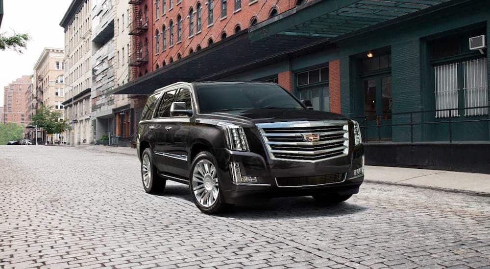 A common used SUV near you, a black 2018 Cadillac Escalade, is shown driving on a cobblestone road.