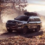 A black 2021 Toyota Land Cruiser is driving on a dirt trail past a tree.
