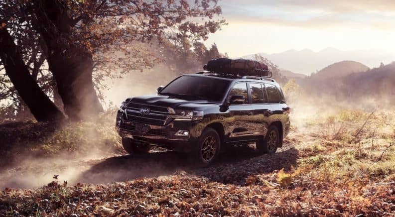 A black 2021 Toyota Land Cruiser is driving on a dirt trail past a tree.