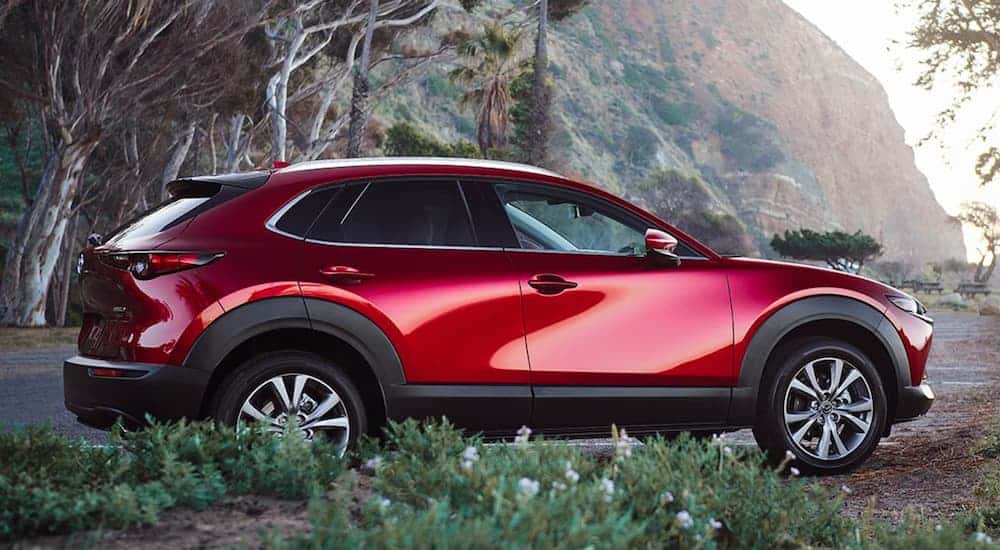 A red 2021 Mazda CX-30 is parked in front of trees and a steep hill.