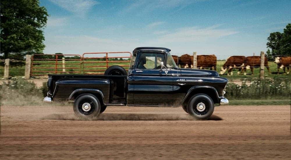 A blue 1955 Chevrolet Taskforce is driving down a dirt road near a farm.