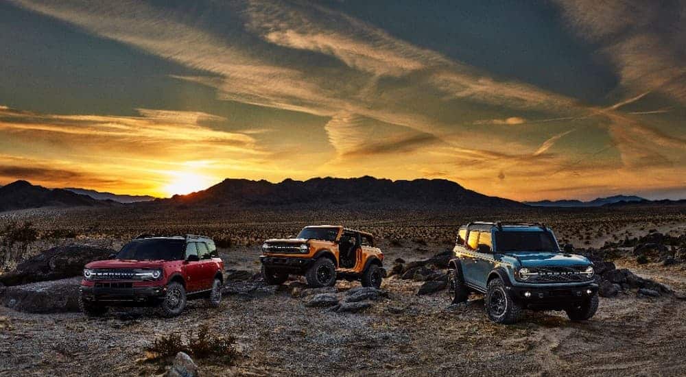 Three 2021 Ford Broncos, a red, a yellow, and a blue, are parked in the desert at sunrise after leaving a Ford dealer.