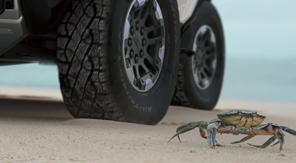A 2021 GMC Hummer EV, an upcoming GMC SUV, is parked on a sandy beach next to a crab.