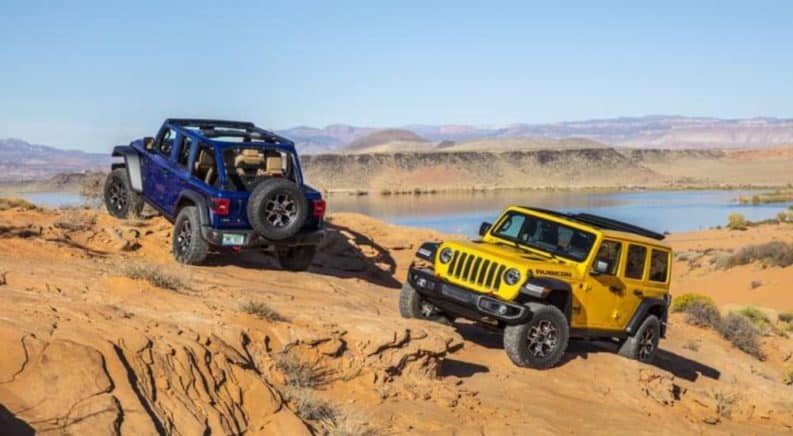 Jeep Wrangler vs Ford Bronco: Which Off-roader Wins?