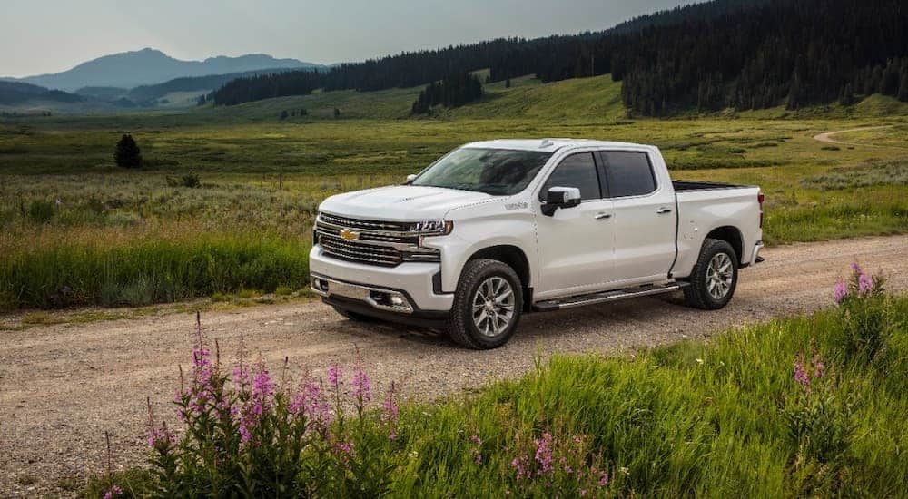 A white 2019 used Chevy Silverado is driving on a dirt road past a field.